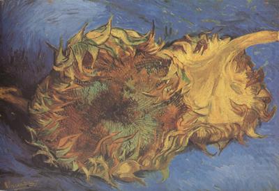 Vincent Van Gogh Two Cut Sunflowers (nn04) china oil painting image